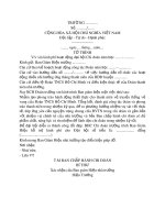 Mẫu Tờ trình xin kinh phí hoạt động đại hội Chi đoàn