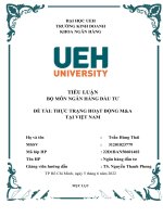 TIỂU LUẬN bộ môn NGÂN HÀNG đầu tư đề tài THỰC TRẠNG HOẠT ĐỘNG ma tại VIỆT NAM 