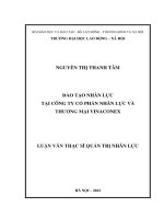 Luận văn Thạc sĩ Quản trị nhân lực: Đào tạo nhân lực tại Công ty Cổ phần Nhân lực và Thương mại Vinaconex