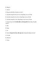 Bộ 20 đề thi tiếng việt lớp 5 giữa  0020