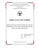ĐỀ TÀI KHẢO SÁT TÌM GIẢI PHÁP XUẤT KHẨU BIÊN MẬU CAO SU SANG THỊ TRƯỜNG TRUNG QUỐC TẠI XNLD VISORUTEX