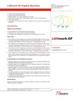 5MCA LANmark OF pigtails maxistrip