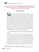 Xây dựng mô hình thử nghiệm trồng cúc đồng tiền (gerbera jamesonii) cắt cành trong điều kiện dưới tấm pin năng lượng mặt trời