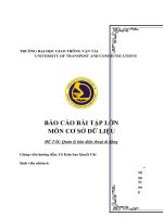 BÁO CÁO BÀI TẬP LỚN MÔN CƠ SỞ DỮ LIỆU ĐỀ TÀI Quản lý bán điện thoại di động