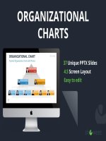 (Mẫu powerpoint) organizational charts showeet(standard) 