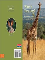 053C what is very long 