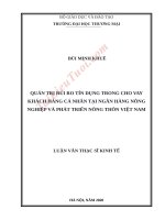 Quản trị rủi ro tín dụng trong cho vay khách hàng cá nhân tại ngân hàng Agribank