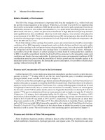 Modern food microbiology 7th ed   phần 15 