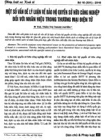 Một số vấn đề lý luận về bảo hộ quyền sở hữu công nghiệp đối với nhãn hiệu trong thương mại điện tử 