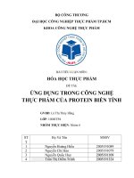 BÀI TIỂU LUẬN MÔN HÓA HỌC THỰC PHẨM ĐỀ TÀI ỨNG DỤNG TRONG CÔNG NGHỆ THỰC PHẨM CỦA PROTEIN BIẾN TÍNH