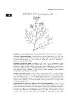 Handbook of medicinal herbs phần 7 