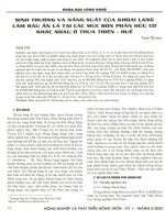 SINH TRUÔNG và NĂNG SUẤT của KHOAI LANG 