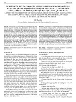 Nghiên cứu tuyển chọn các chủng nấm trichoderma có khả năng đối kháng mạnh với nấm bệnh fusarium gây bệnh héo vàng trên cây chuối tại huyện Đại Lộc, tỉnh Quảng Nam