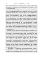 Animal, vegetable, miracle  a year of food life phần 22 