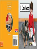 017A i can read 