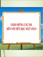 Tiết 44 LUYEN NOI   kể CHUYỆN THEO NGÔI kể kết hợp với MIÊU tả và BIỂU cảm 