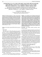 Ảnh hưởng của các chất nền khác nhau đến một số chỉ tiêu sinh trưởng, năng suất và phẩm chất của cây cải rỗ (Brasscia oleracea L. var. Viridis L) trồng trong chậu