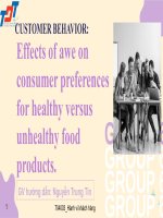 CUSTOMER BEHAVIOR effects of awe on consumer preferences for healthy versus unhealthy food products 