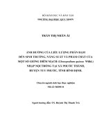 Ảnh hưởng của liều lượng phân đạm đến sinh trưởng, năng suất và phẩm chất của một số giống diêm mạch (chenopodium quinoa willd ) nhập nội trồng tại xã phước thành, huyện tuy phước, tỉnh bình định 