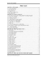 Hệ thống giám sát điều khiển thiết bị sử dụng vi điều khiển STM8S00F3P6 và sóng RF 