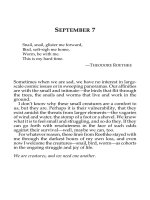 Healing after loss  daily meditations phần 53 