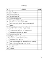 SKKN ứng dụng CNTT vào dạy vần mới và rèn kĩ năng đọc hiểu từ ứng dụng trong dạy học vần lớp 1 