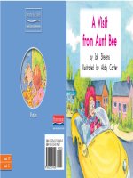 057C a visit from aunt bee 