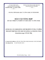 Đánh giá, xác định bằng chỉ thị phân tử DNA và hình thái kết hợp bảo tồn một số giống lan hoàng thảo (dendrobium spp ) có giá trị 