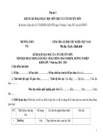 Phụ lục I,II, III môn hoạt đông trải nghiệm  7 