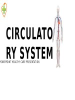 (Mẫu powerpoint) criculatory system 