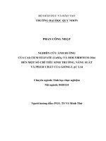 Nghiên cứu ảnh hưởng của calcium sulfate (CaSO4) và molybdenum (mo) đến một số chỉ tiêu sinh trưởng, năng suất và phẩm chất của giống lạc l14 