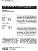 Căn cứ ly hôn trong pháp luật việt nam 