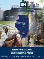 2018-BloomingtonNormal-IL-Demographic-Profile