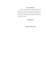 (LUẬN án TIẾN sĩ) năng lực nghiên cứu khoa học của cán bộ ở cục khoa học   lịch sử quân sự quân đội nhân dân lào hiện nay 