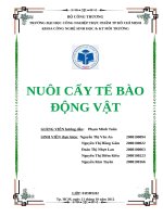 NUÔI CẤY TẾ BÀO ĐỘNG VẬT