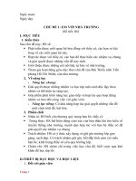 Kế hoạch bài dạy môn hoạt động trải nghiệm 7 sách kết nối tri thức với cuộc sống (kì 1)