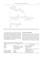 8 food biochemistry and food phần 32 