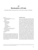 8 food biochemistry and food phần 109 