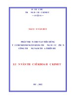 Phát triển cho vay tiêu dùng tại chi nhánh ngân hàng thương mại cổ phần công thương nam thừa thiên huế 