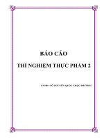 Báo cáo thí nghiệm thực phẩm sữa đậu nành 