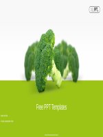 (Mẫu powerpoint) fresh green broccoli powerpoint templates 
