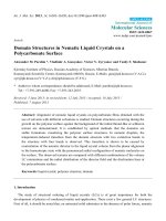 domain structures in nematic liquid crystals on a polycarbonate surface 