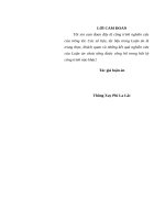 Năng lực nghiên cứu khoa học của cán bộ ở cục khoa học   lịch sử quân sự quân đội nhân dân lào hiện nay 