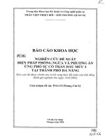 Nghiên cứu đề xuất biện pháp phòng ngừa và phương án ứng phó sự cố tràn dầu mức i tại thành phố đà nẵng 