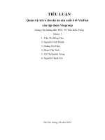 TIỂU LUẬN quản trị rủi ro cho dự án sản xuất ô tô vinfast của tập đoàn vingroup 