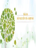 Giáo án trình chiếu môn toán 6 sách cánh diều bài 10 số nguyên tố, hợp số tiết 1 