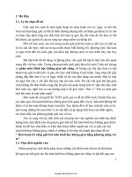 SKKN Rèn luyện kỹ năng giải bài toán hình học không gian bằng phương pháp véc tơ