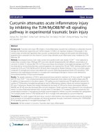 curcumin attenuates acute inflammatory injury by inhibiting the tlr4 myd88 nf b signaling pathway in experimental traumatic brain injury 