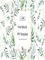 (Mẫu powerpoint) natural leaf powerpoint templates 