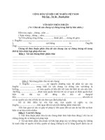 Chia tài sản chung vợ chồng trong thời kỳ hôn nhân 